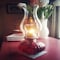 Lamplight Lamplight Farms Ultra Pure Clean Burn Paraffin Oil Red 32 oz 60012 - alternate 4